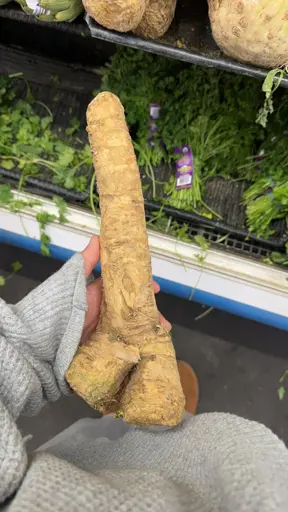 An impressive showing of ginger
