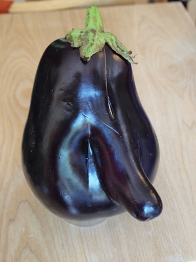 An eggplant with a protrusion 