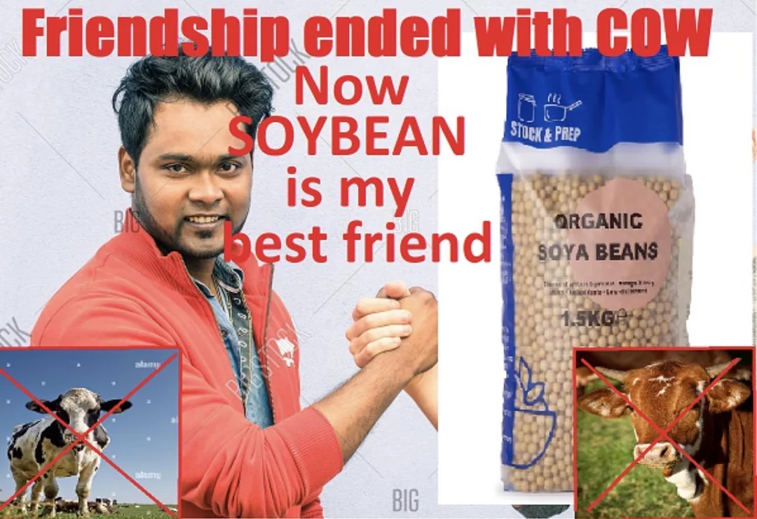 SOYBEAN is my best friend